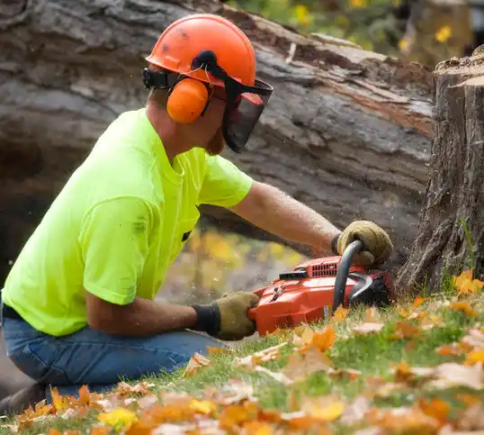 tree services Light Oak